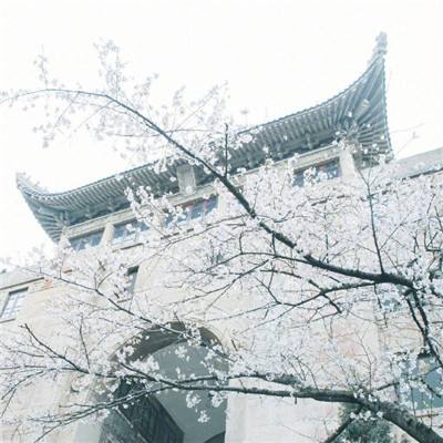 传记作品《流风》创作出版研讨会在江阴举办